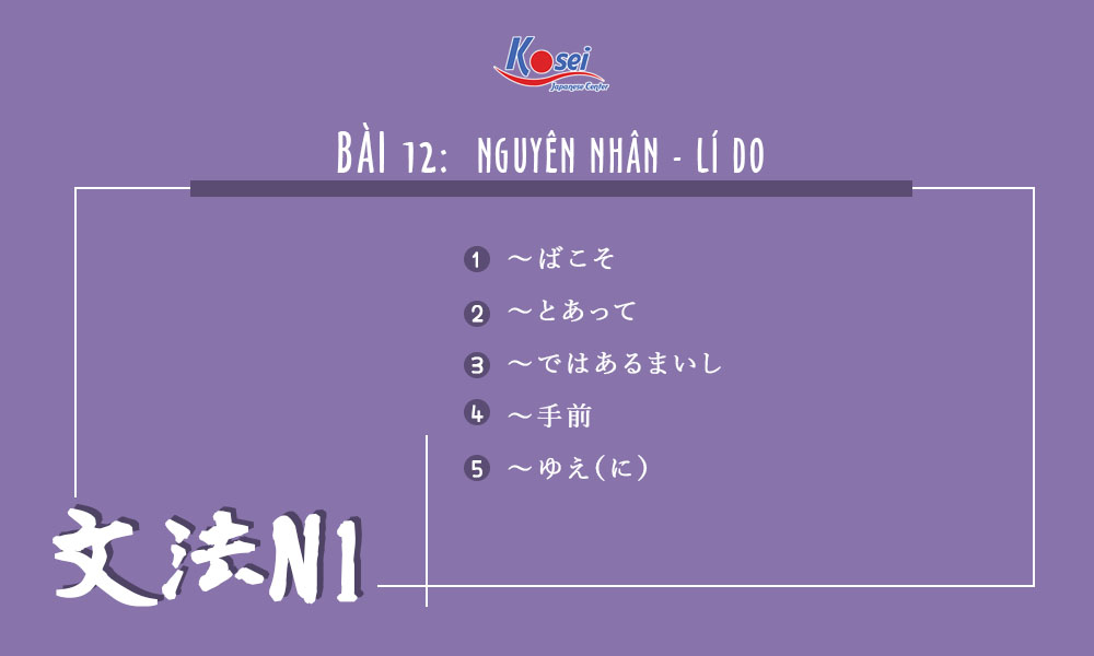 ngữ pháp n1 bài 12
